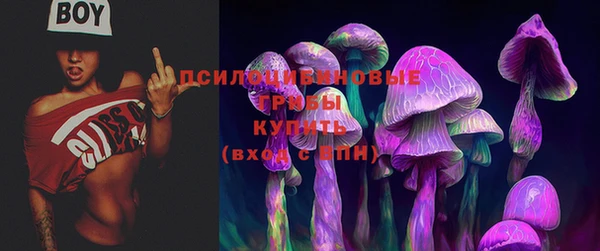 марки nbome Новозыбков