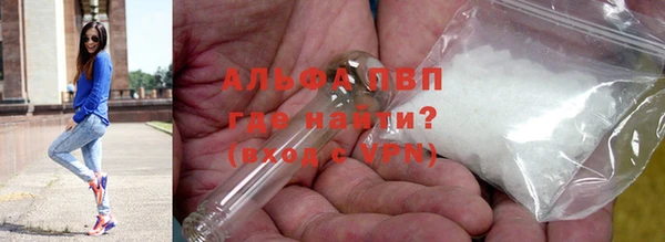 дмт Новодвинск