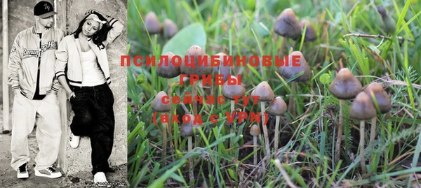 стафф Новокубанск