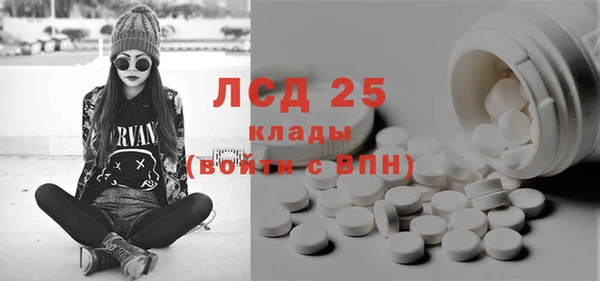 стафф Новокубанск