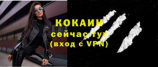 стафф Новокубанск