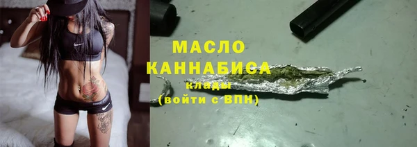 дмт Новодвинск