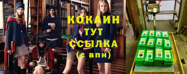 дмт Новодвинск