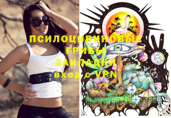 стафф Новокубанск